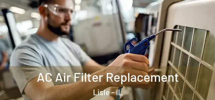  AC Air Filter Replacement Lisle - IL