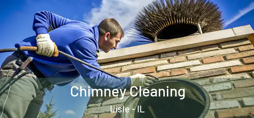  Chimney Cleaning Lisle - IL