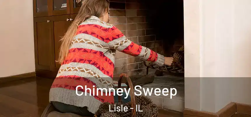  Chimney Sweep Lisle - IL