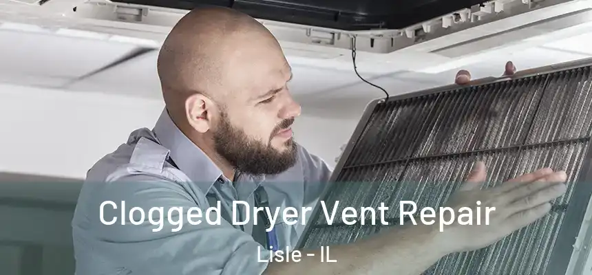  Clogged Dryer Vent Repair Lisle - IL