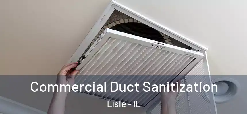Commercial Duct Sanitization Lisle - IL