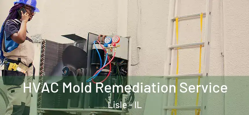 HVAC Mold Remediation Service Lisle - IL