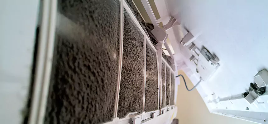 Preventive Air Duct Bacteria Removal in Lisle