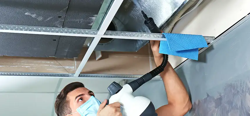 Our Air Duct Rodent Removal Services in Lisle, IL