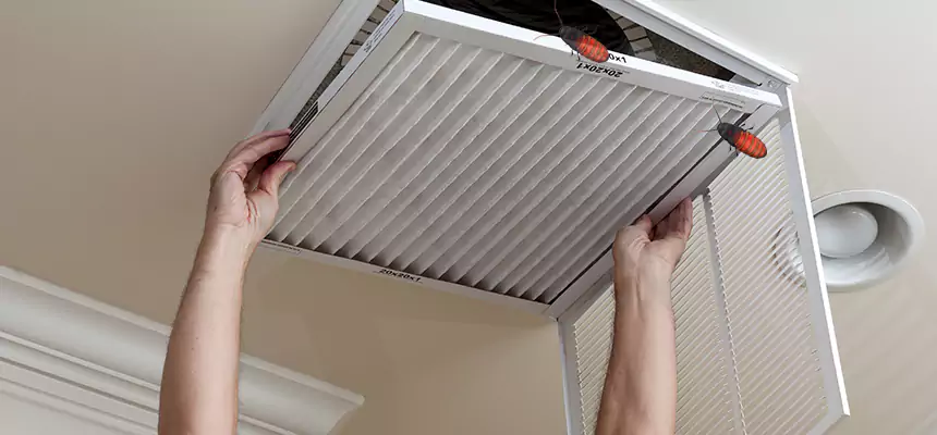 Our Insect Removal from Air Ducts Services in Lisle, IL