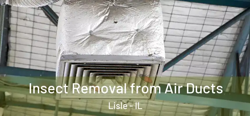  Insect Removal from Air Ducts Lisle - IL