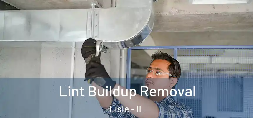  Lint Buildup Removal Lisle - IL