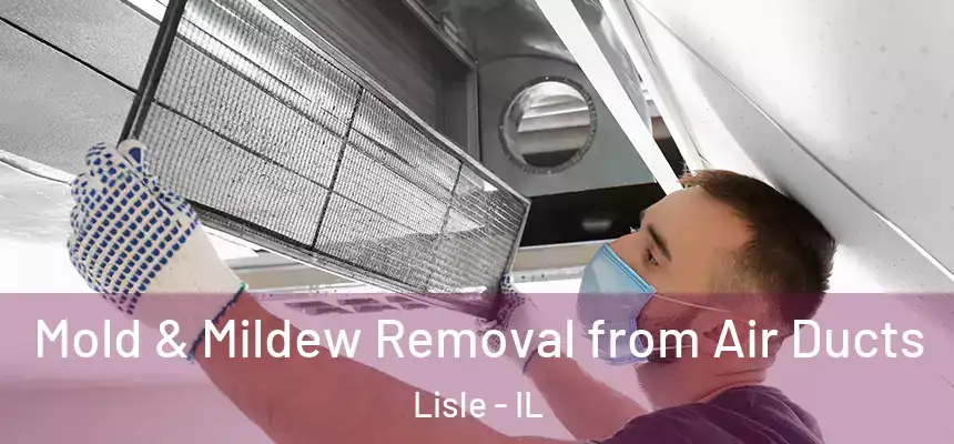  Mold & Mildew Removal from Air Ducts Lisle - IL