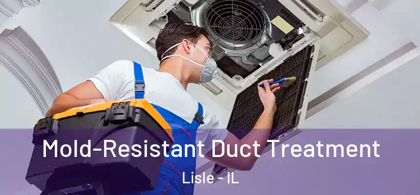  Mold-Resistant Duct Treatment Lisle - IL