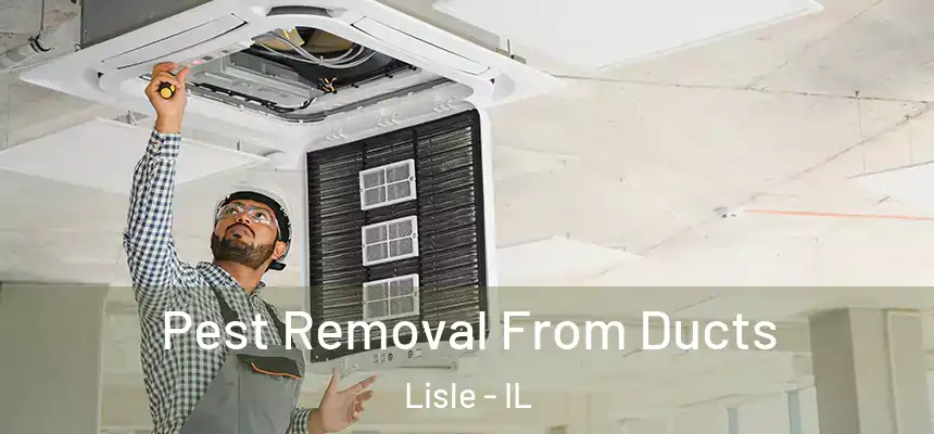 Pest Removal From Ducts Lisle - IL
