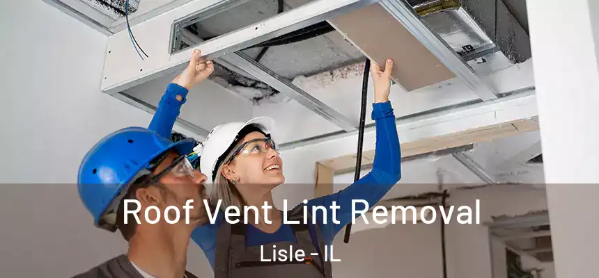  Roof Vent Lint Removal Lisle - IL