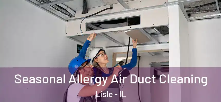  Seasonal Allergy Air Duct Cleaning Lisle - IL