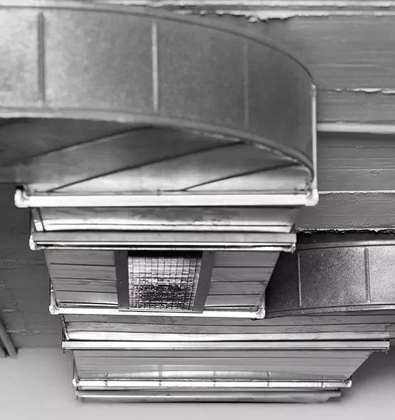 Professional Air Duct Pet Hair Removal in Lisle, IL