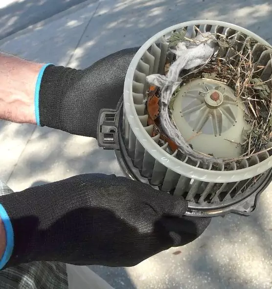 About Air Duct Rat Removal in Lisle, IL