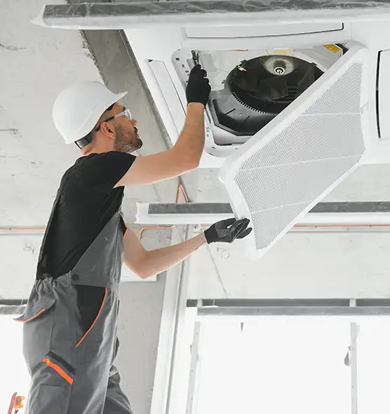 About Air Duct Rodent Removal in Lisle, IL