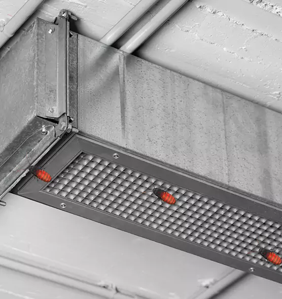Affordable Insect Removal from Air Ducts in Lisle, IL