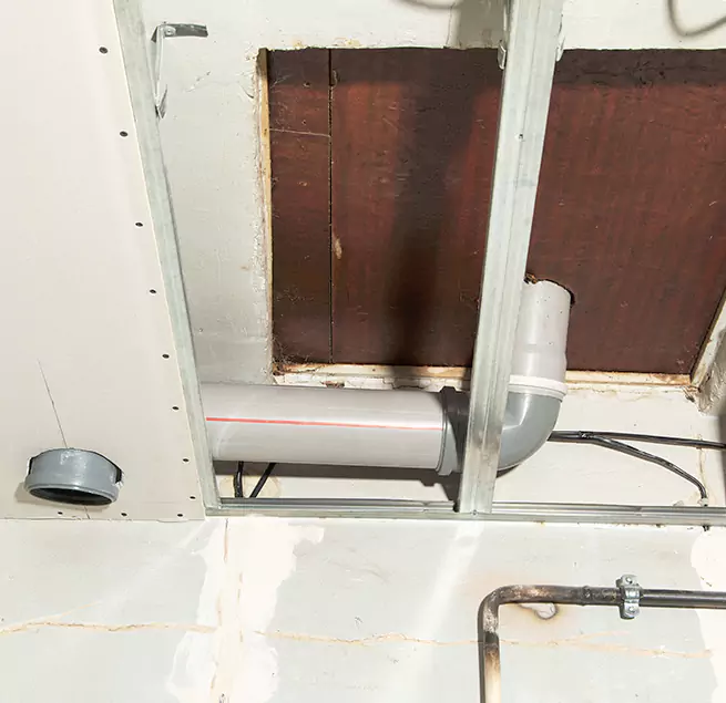 Why Homeowners & Businesses Trust Us in Lisle, IL?