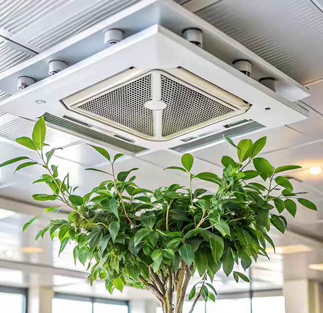 Why Homeowners & Businesses Trust Us in Lisle, IL