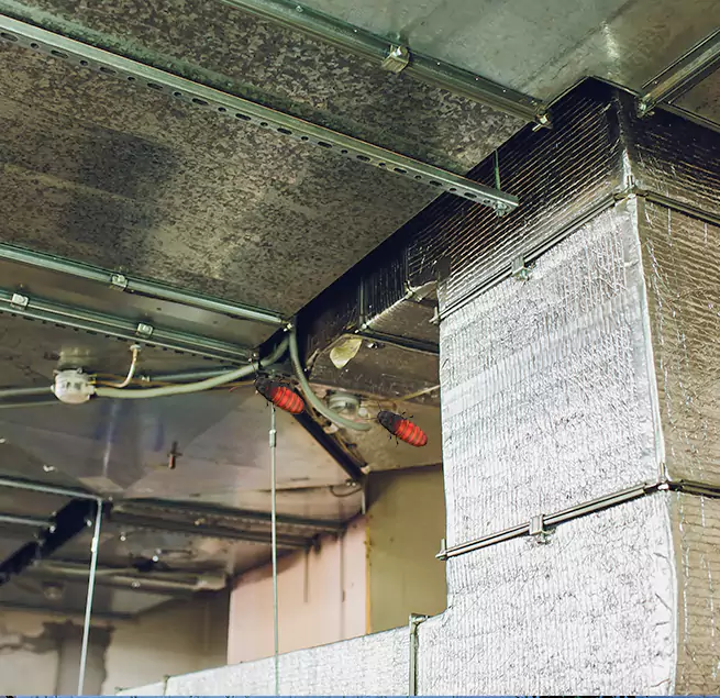 Why Homeowners & Businesses Trust Us Lisle, IL?