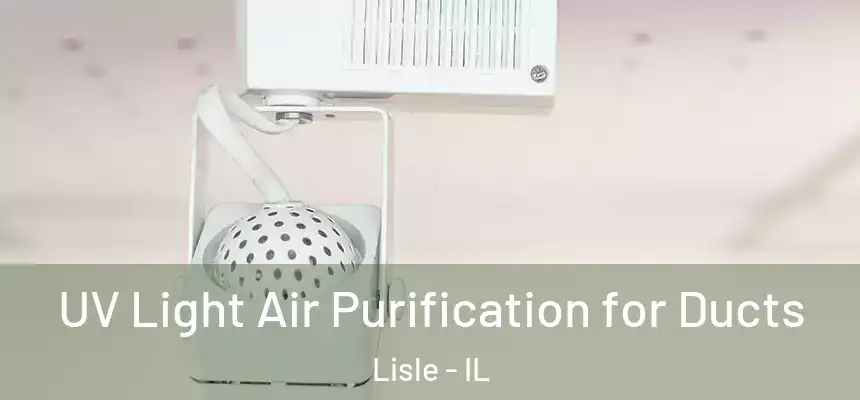  UV Light Air Purification for Ducts Lisle - IL